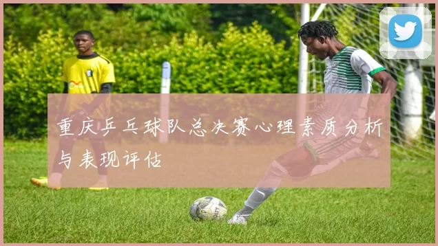 重庆乒乓球队总决赛心理素质分析与表现评估