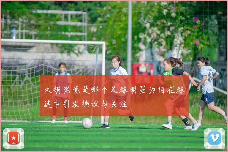 大胡究竟是哪个足球明星为何在球迷中引发热议与关注