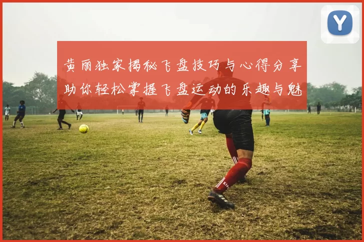 黄丽独家揭秘飞盘技巧与心得分享助你轻松掌握飞盘运动的乐趣与魅力
