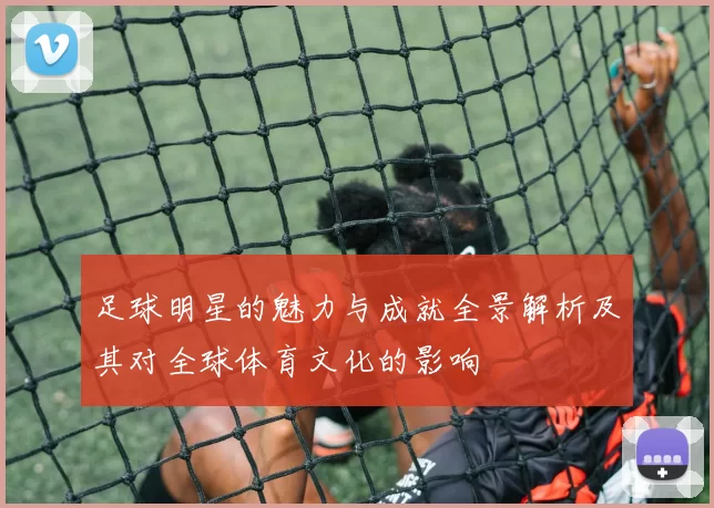 足球明星的魅力与成就全景解析及其对全球体育文化的影响