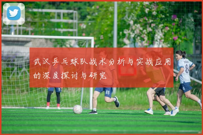 武汉乒乓球队战术分析与实战应用的深度探讨与研究