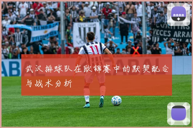 武汉排球队在欧锦赛中的默契配合与战术分析