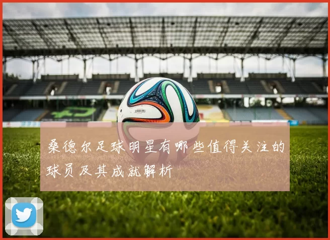 桑德尔足球明星有哪些值得关注的球员及其成就解析