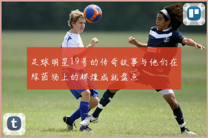 足球明星19号的传奇故事与他们在绿茵场上的辉煌成就盘点