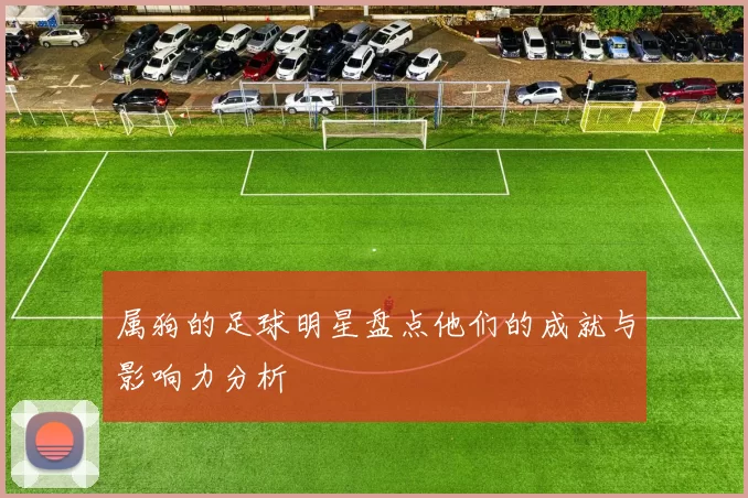 属狗的足球明星盘点他们的成就与影响力分析