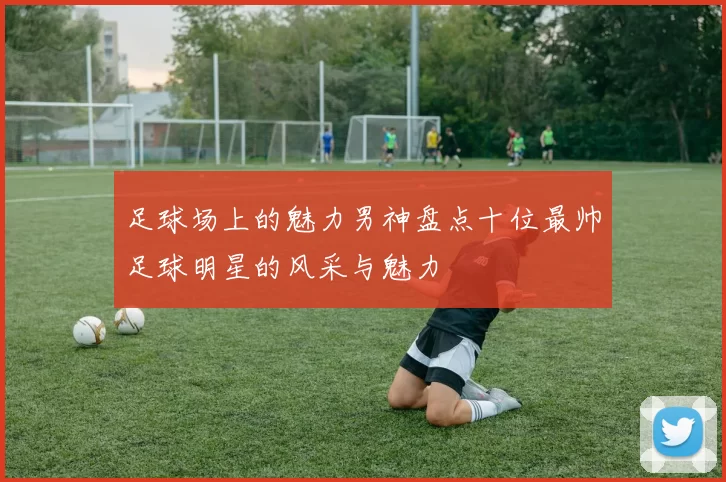 足球场上的魅力男神盘点十位最帅足球明星的风采与魅力