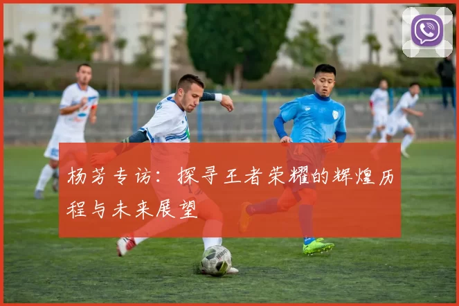杨芳专访：探寻王者荣耀的辉煌历程与未来展望