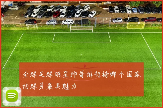 全球足球明星帅哥排行榜哪个国家的球员最具魅力