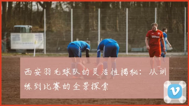 西安羽毛球队的灵活性揭秘：从训练到比赛的全景探索