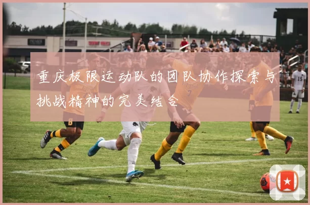重庆极限运动队的团队协作探索与挑战精神的完美结合