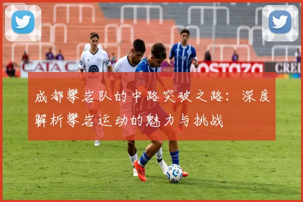 成都攀岩队的中路突破之路：深度解析攀岩运动的魅力与挑战