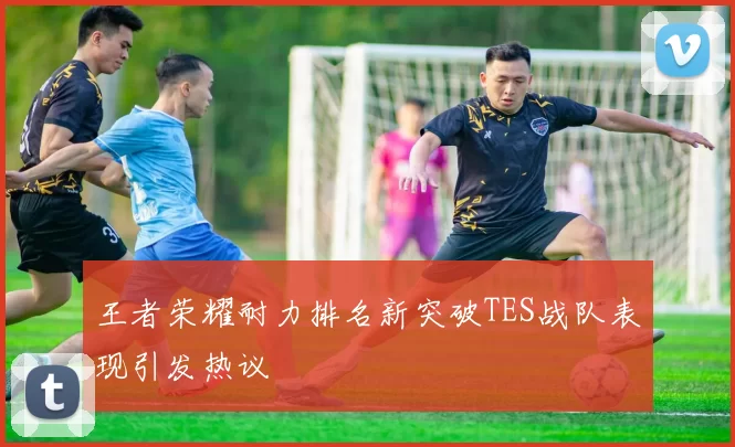 王者荣耀耐力排名新突破TES战队表现引发热议