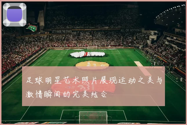 足球明星艺术照片展现运动之美与激情瞬间的完美结合