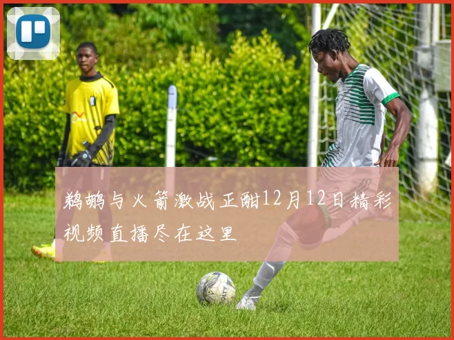 鹈鹕与火箭激战正酣12月12日精彩视频直播尽在这里