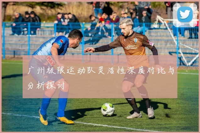 广州极限运动队灵活性深度对比与分析探讨