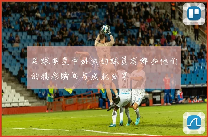 足球明星中姓武的球员有哪些他们的精彩瞬间与成就分享