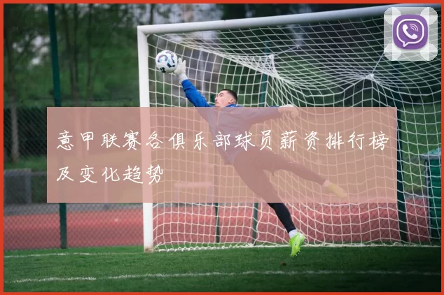 意甲联赛各俱乐部球员薪资排行榜及变化趋势