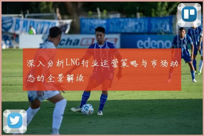 深入分析LNG行业运营策略与市场动态的全景解读