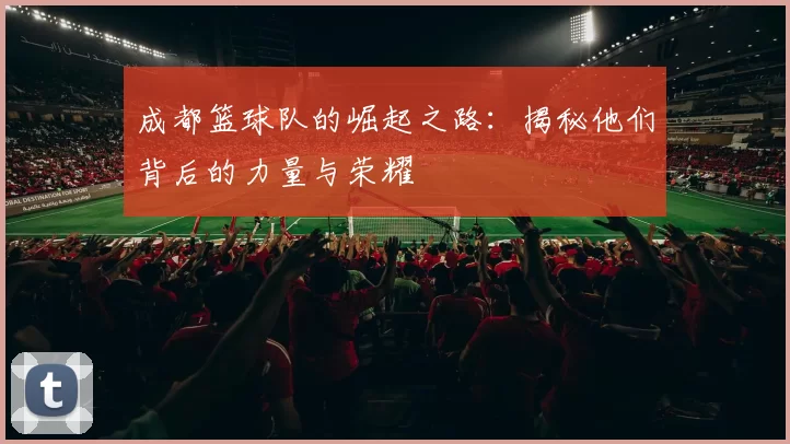 成都篮球队的崛起之路：揭秘他们背后的力量与荣耀