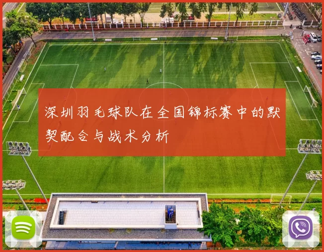 深圳羽毛球队在全国锦标赛中的默契配合与战术分析