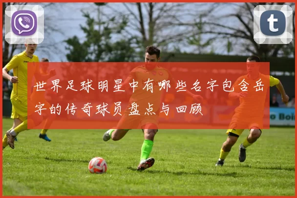 世界足球明星中有哪些名字包含岳字的传奇球员盘点与回顾