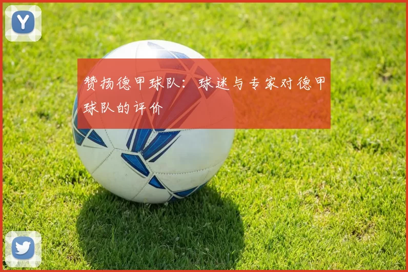 赞扬德甲球队：球迷与专家对德甲球队的评价