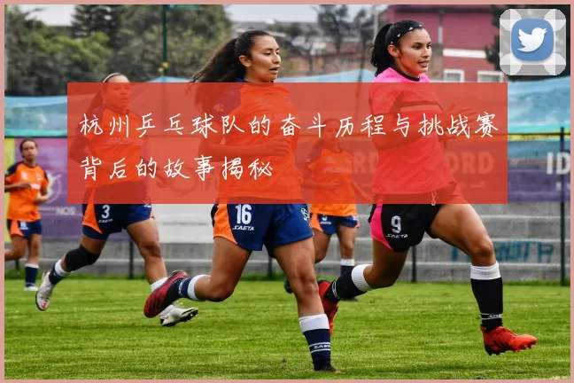 杭州乒乓球队的奋斗历程与挑战赛背后的故事揭秘