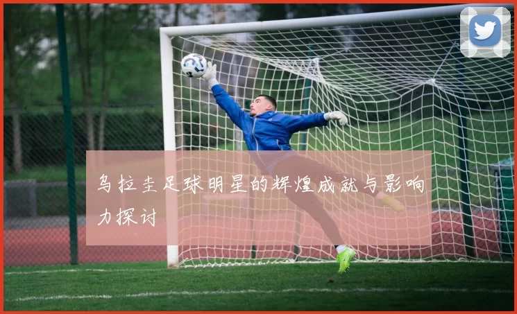 乌拉圭足球明星的辉煌成就与影响力探讨