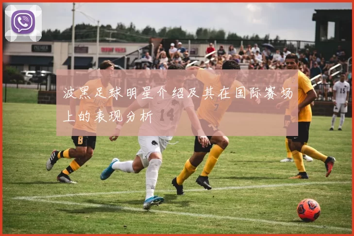 波黑足球明星介绍及其在国际赛场上的表现分析