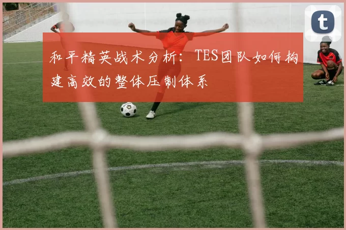和平精英战术分析：TES团队如何构建高效的整体压制体系