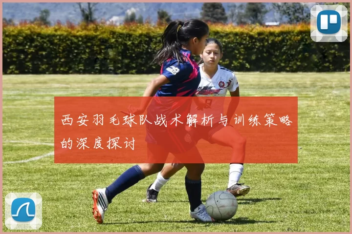 西安羽毛球队战术解析与训练策略的深度探讨