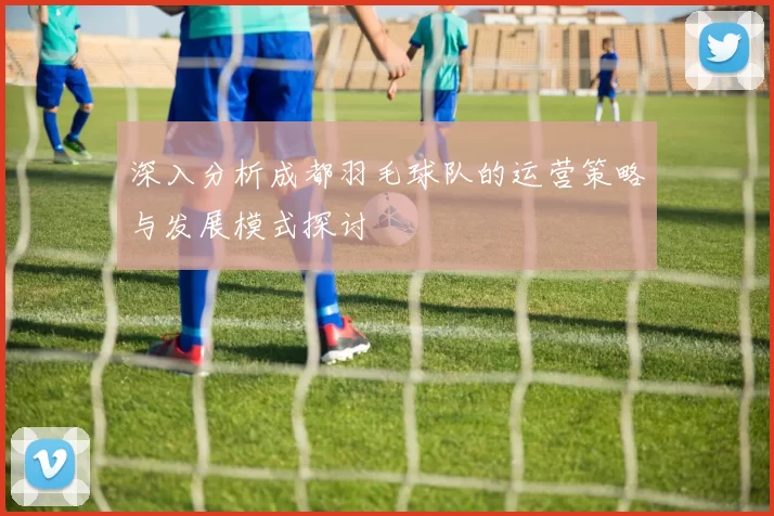 深入分析成都羽毛球队的运营策略与发展模式探讨
