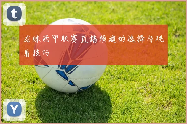 龙珠西甲联赛直播频道的选择与观看技巧