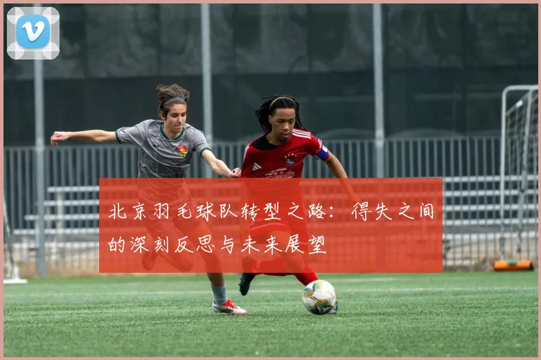 北京羽毛球队转型之路：得失之间的深刻反思与未来展望