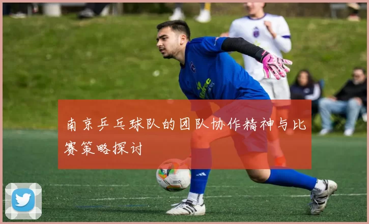 南京乒乓球队的团队协作精神与比赛策略探讨