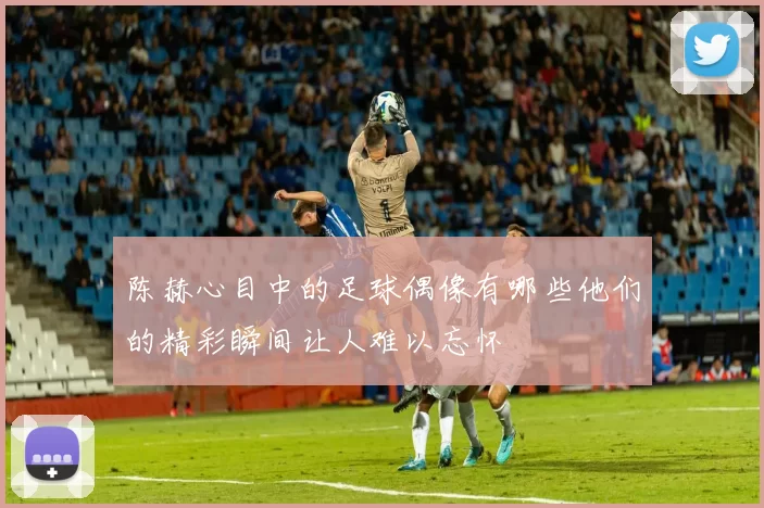 陈赫心目中的足球偶像有哪些他们的精彩瞬间让人难以忘怀