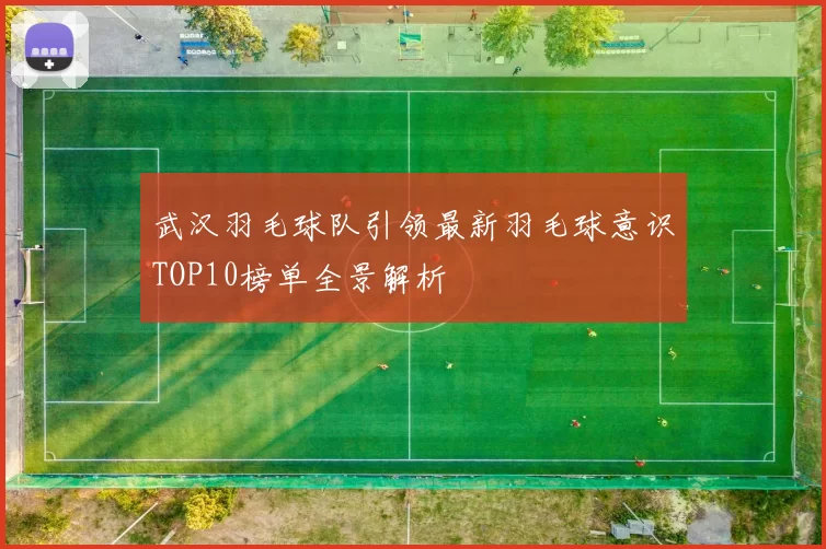 武汉羽毛球队引领最新羽毛球意识TOP10榜单全景解析