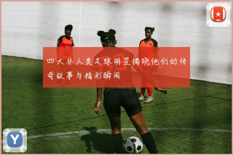 四大非人类足球明星揭晓他们的传奇故事与精彩瞬间